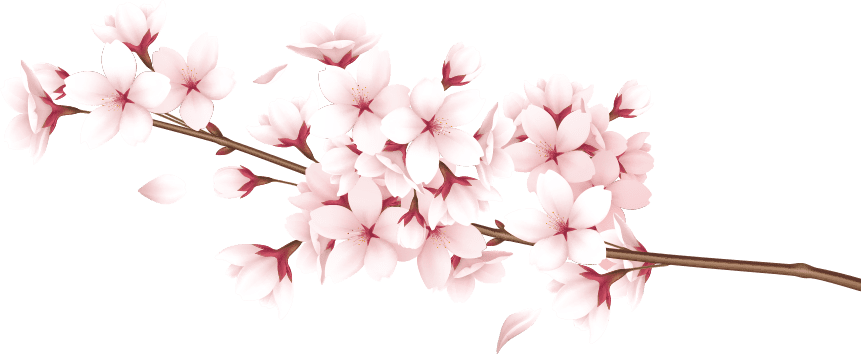 شاخ و برگ نوروز